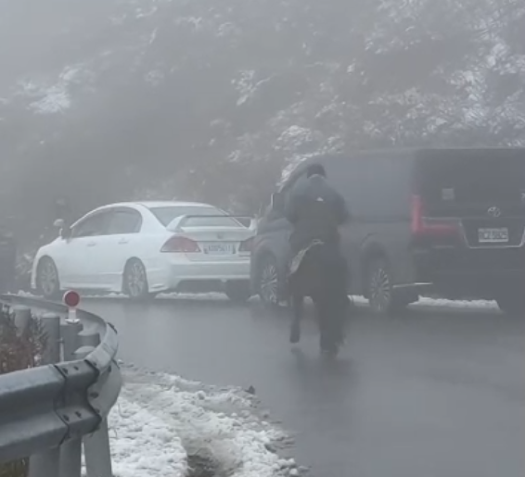 合歡山遛馬賞雪遊客驚喜！　警方依道交條例開罰