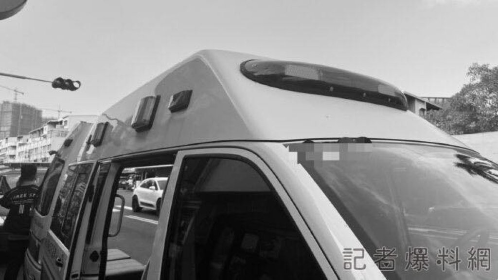 屏科大車禍！女騎士「被流浪犬擊落」險遭公車輾　學生會回應了