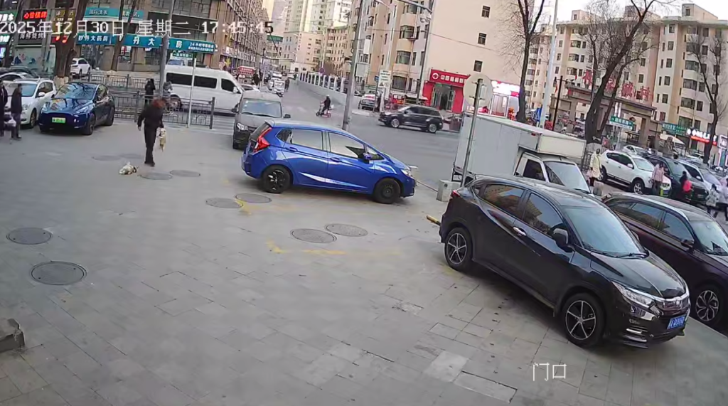 影／自家母狗發情被硬上！陸男爆氣抓起流浪狗重摔狠踹　影片網路瘋傳