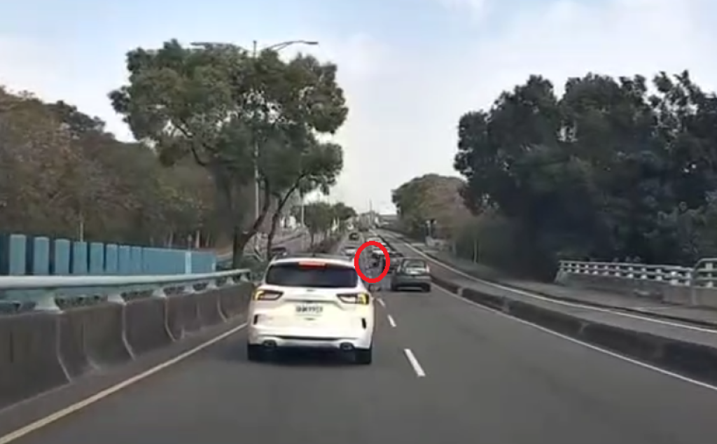 台74甲線東外環道車禍肇事者是「水鹿」！　遭撞翻滾數圈竄逃