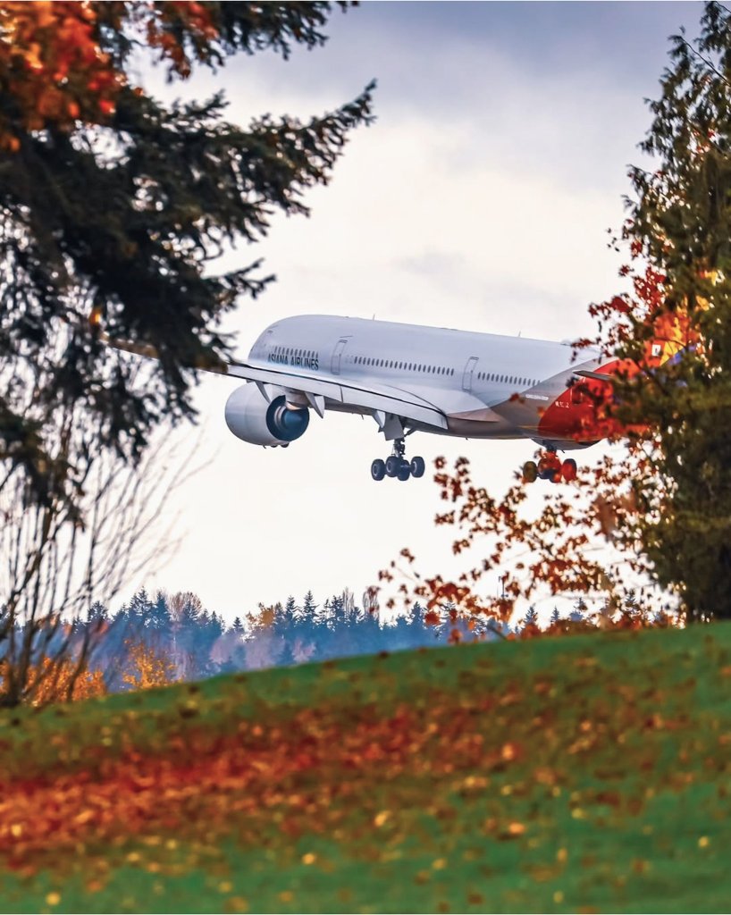 機艙驚魂！韓亞航空仁川飛香港航班「尿袋」起火　乘客手部燒傷