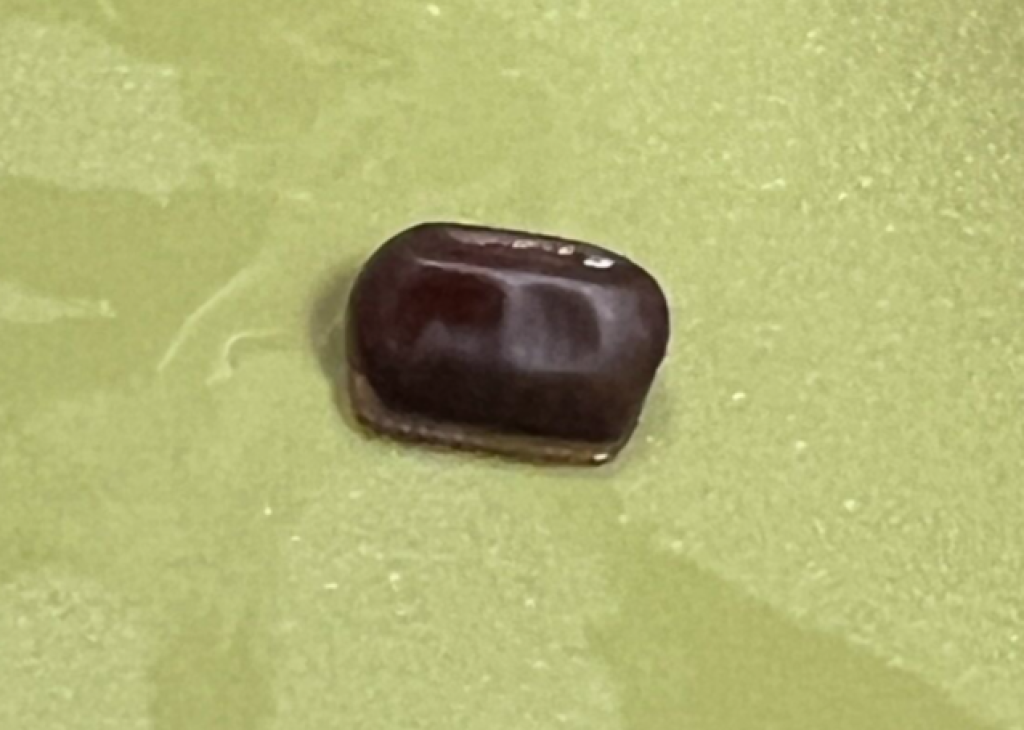 喝珍奶疑咬到蟑螂蛋！店員稱是「蕎麥」當場捏爆噴汁　大茗致歉停業清消