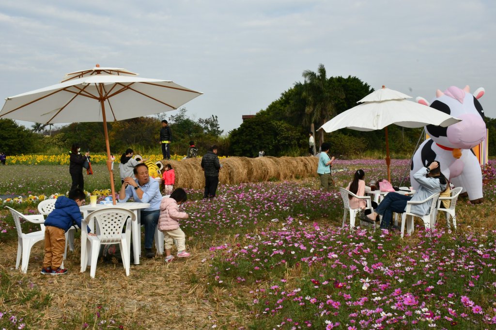 遇見幸福浪漫花海活動 吸引大批親子歡樂農事體驗