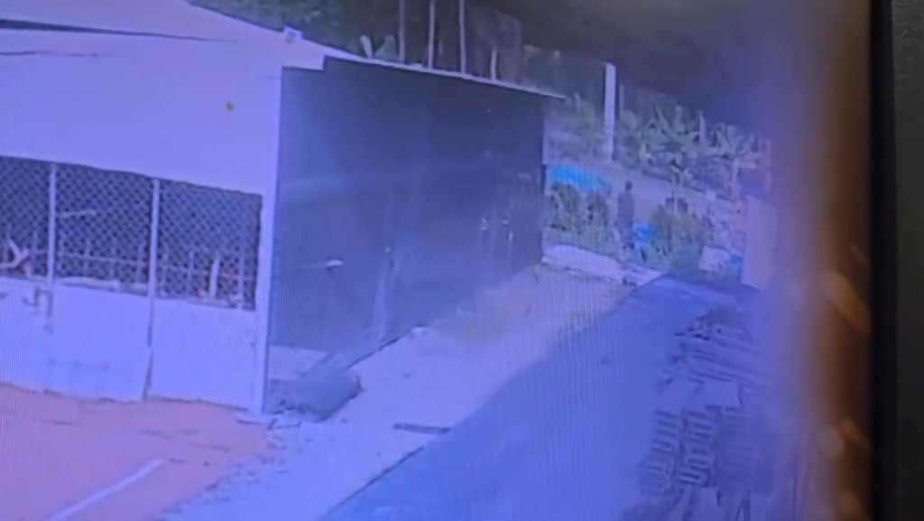 影／持刀闖私人莊園！屏東男抓走4隻金剛鸚鵡「虐殺丟水溝」　飼主怒提告：他是村裡問題人物