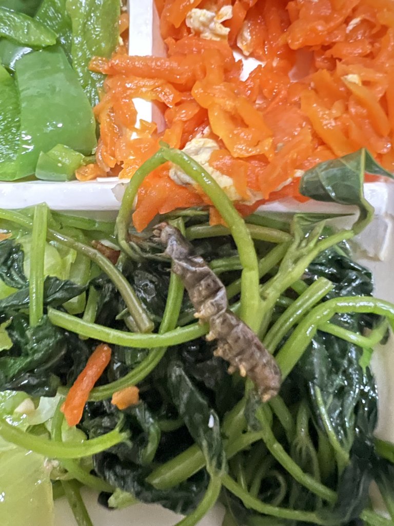 爆料／台南24小時清粥小菜驚見「肥美菜蟲」！民眾倒胃投訴 網掀負評潮：不是第一次