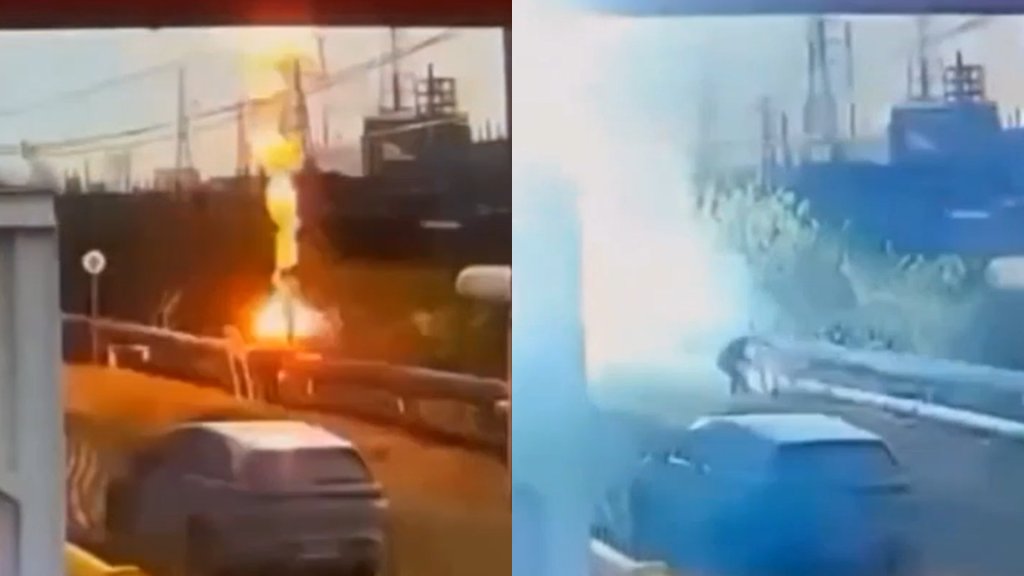 男抓綠鬣蜥慘變「電火球」！誤觸69000伏特高壓電　命大僅有燒燙傷