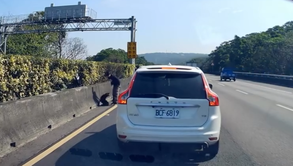 超危險！ 　國道內側車道驟停下車抓狗