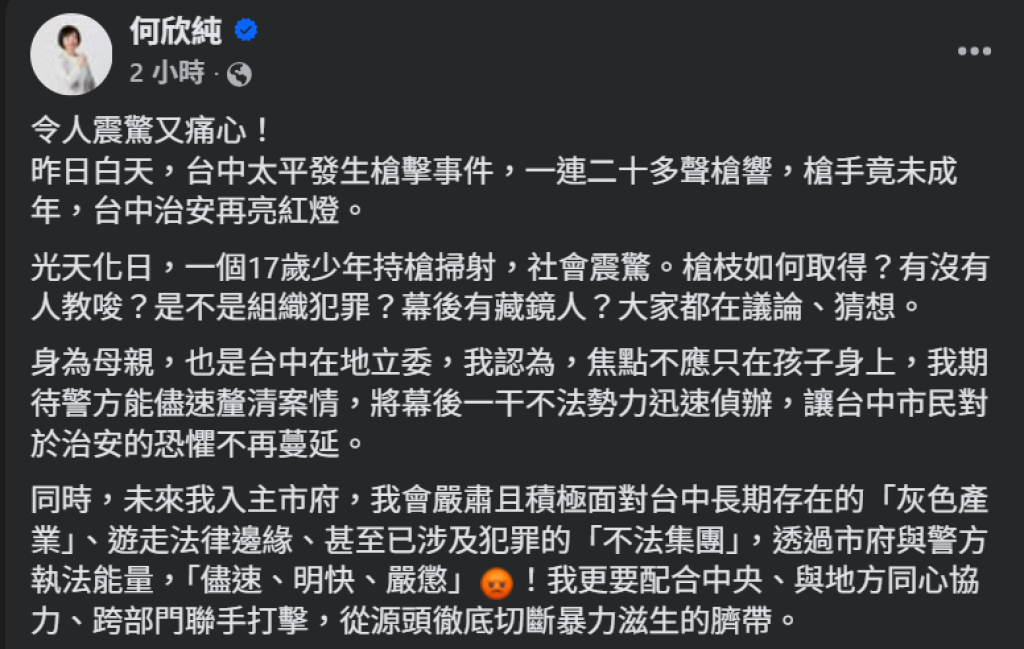 太平驚傳少年持槍掃射　何欣純痛心發聲：入主市府將斷絕「灰色產業」生路