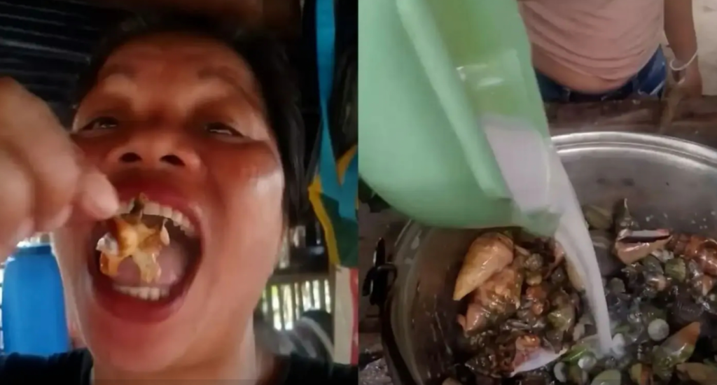 影／吃一口代價是命！美食網紅為拍片誤食「魔鬼蟹」　嘴唇發紫中毒2天後亡