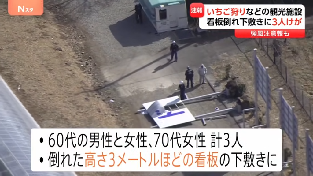 影／台遊客赴日採草莓遇橫禍！看板遭強風吹倒3公尺高掉落　3人遭砸送醫