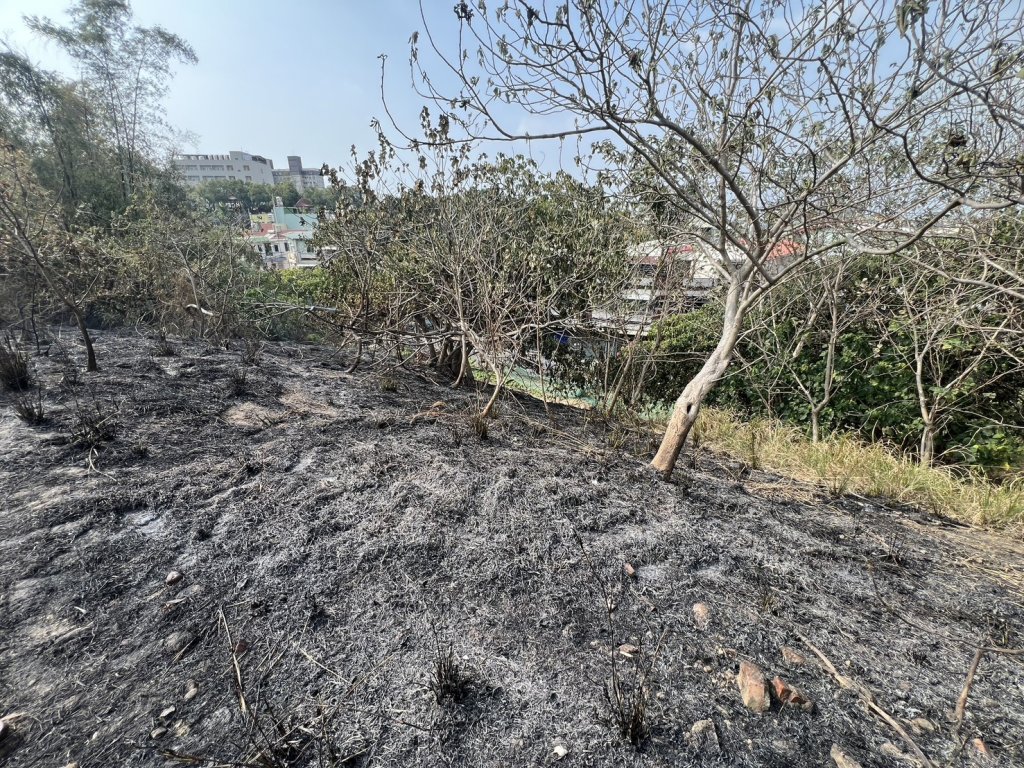 獨／公媽好熱！高雄公墓旁狂燒100平方公尺　1男慘遭送辦「原因曝光」