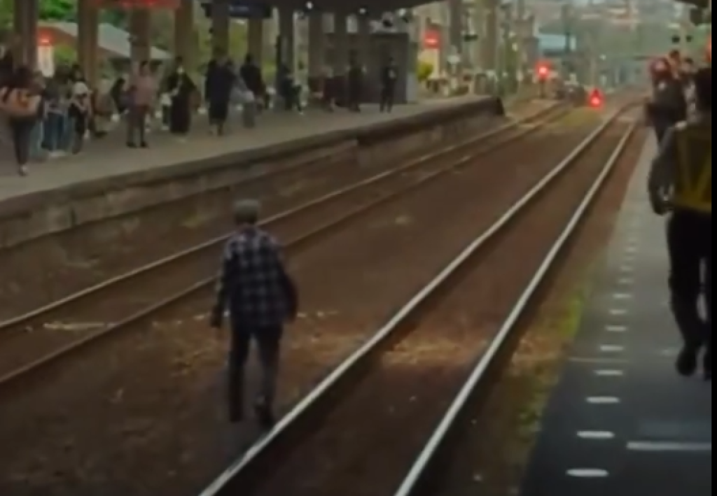 影／驚！阿伯樹林站「跳下月台」闖入軌道漫步　站務員急追上帶回