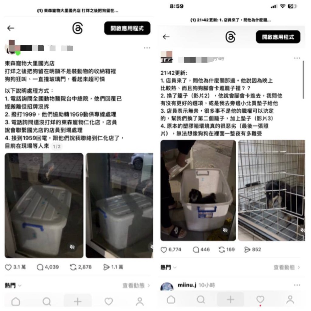 連鎖寵物店爆虐狗！台中東森寵物遭控「收納箱關狗」過夜　民代痛批動保處失職