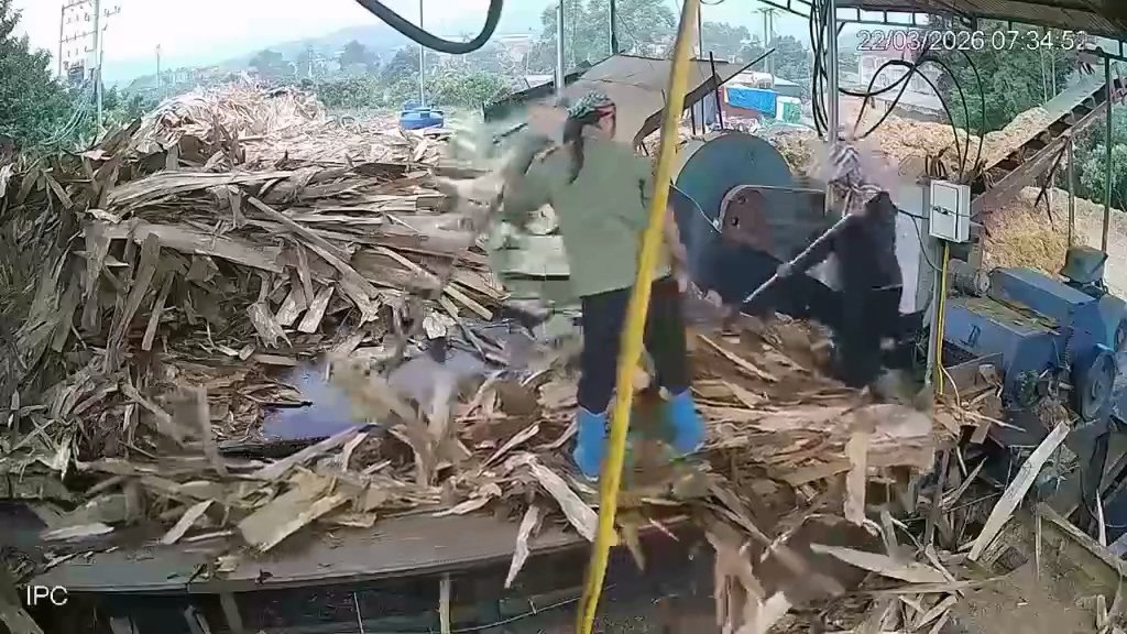 影／死亡工安意外！越南女木材加工廠「被捲入流水線」　同事來不及救援當場斃命