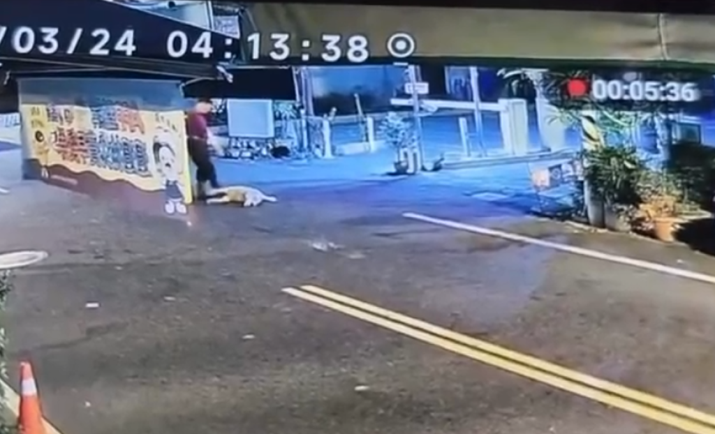 屏東毛孩躺路中央遭小貨車撞死！　駕駛下車腳踹拖至路邊駕車逃逸