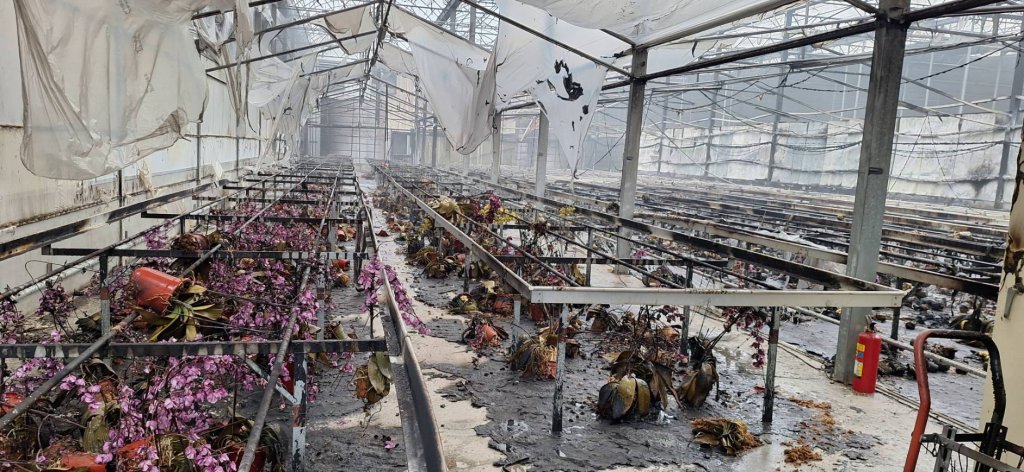 台南後壁蘭花園清晨火警！多盆名貴蘭花燒光光　損失20萬警消速救