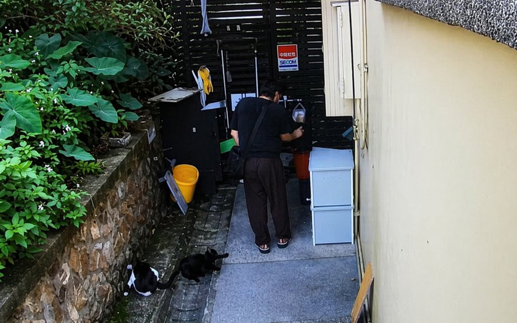 猴硐貓村爆虐貓！男狂噴辣椒水害5「喵星人」流淚、乾嘔　落網辯心情差