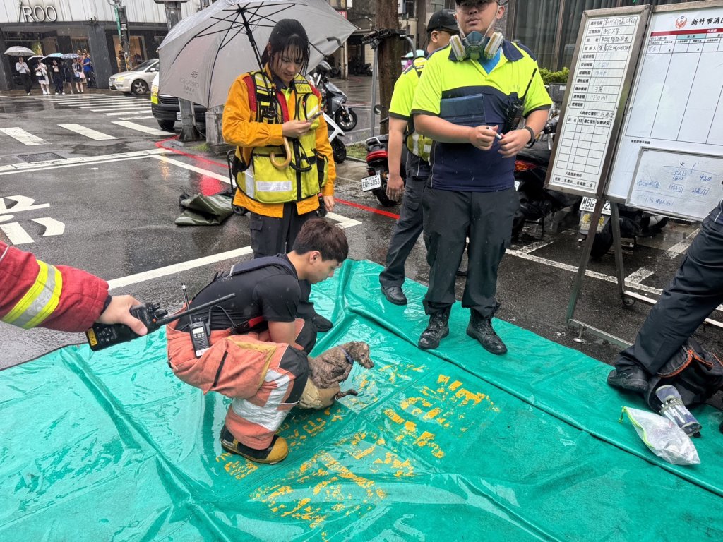 受困毛小孩獲救！　新竹市店舖火警原因待查 