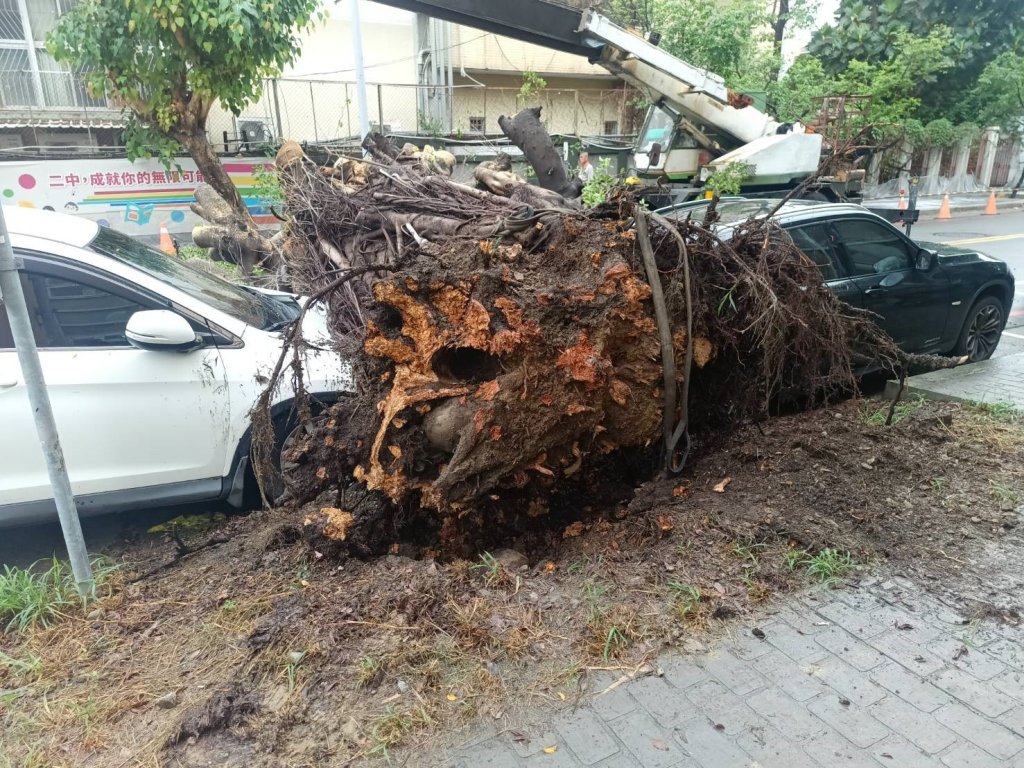 台中二中旁路樹倒塌壓車！　校方連絡車主理賠