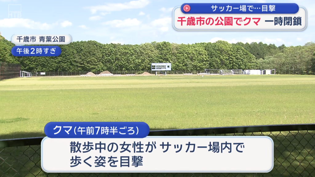 日本黑熊闖足球場「悠哉散步」！民眾嚇壞急通報　公園緊急封閉