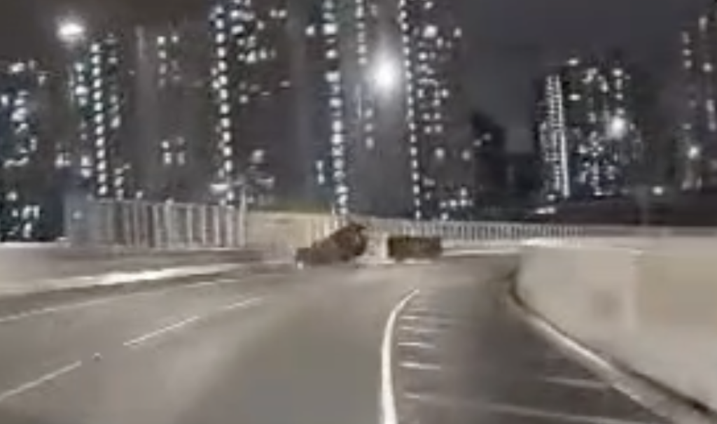 上週才跳海救人！38歲消防員搭小黃遭撞飛亡　妻子同行雙雙喪命