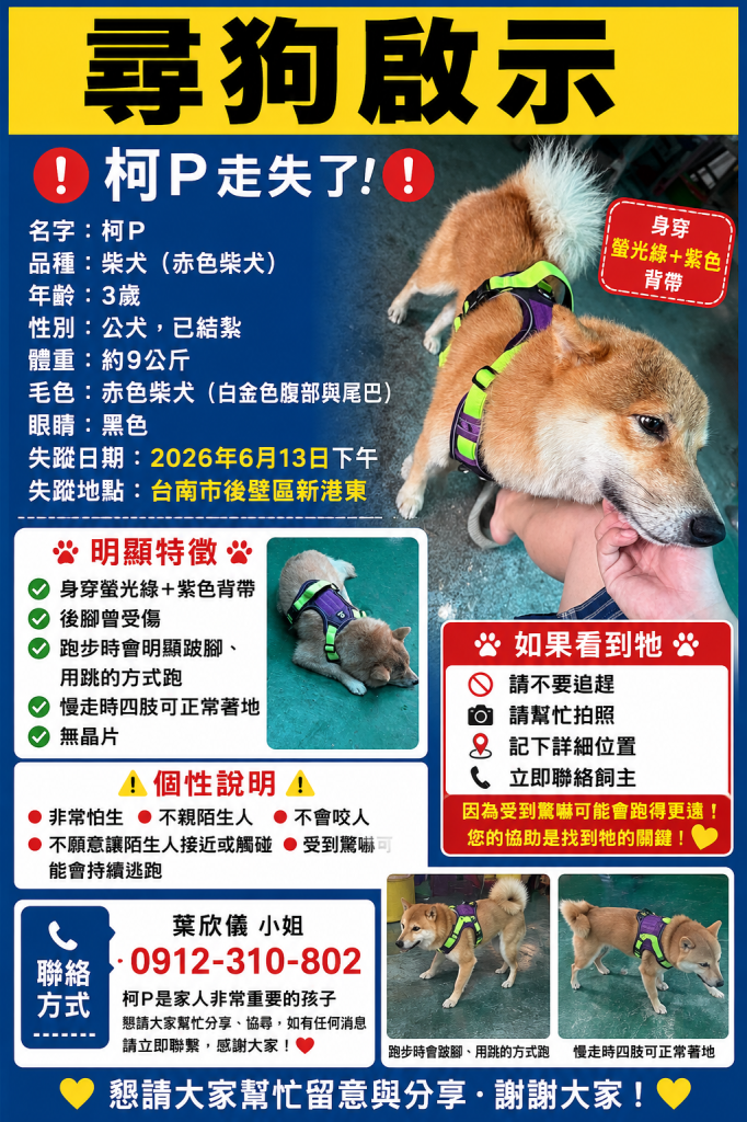 急尋家人！台南赤柴「柯P」後壁區走失12天 飼主懸賞盼愛犬平安歸來