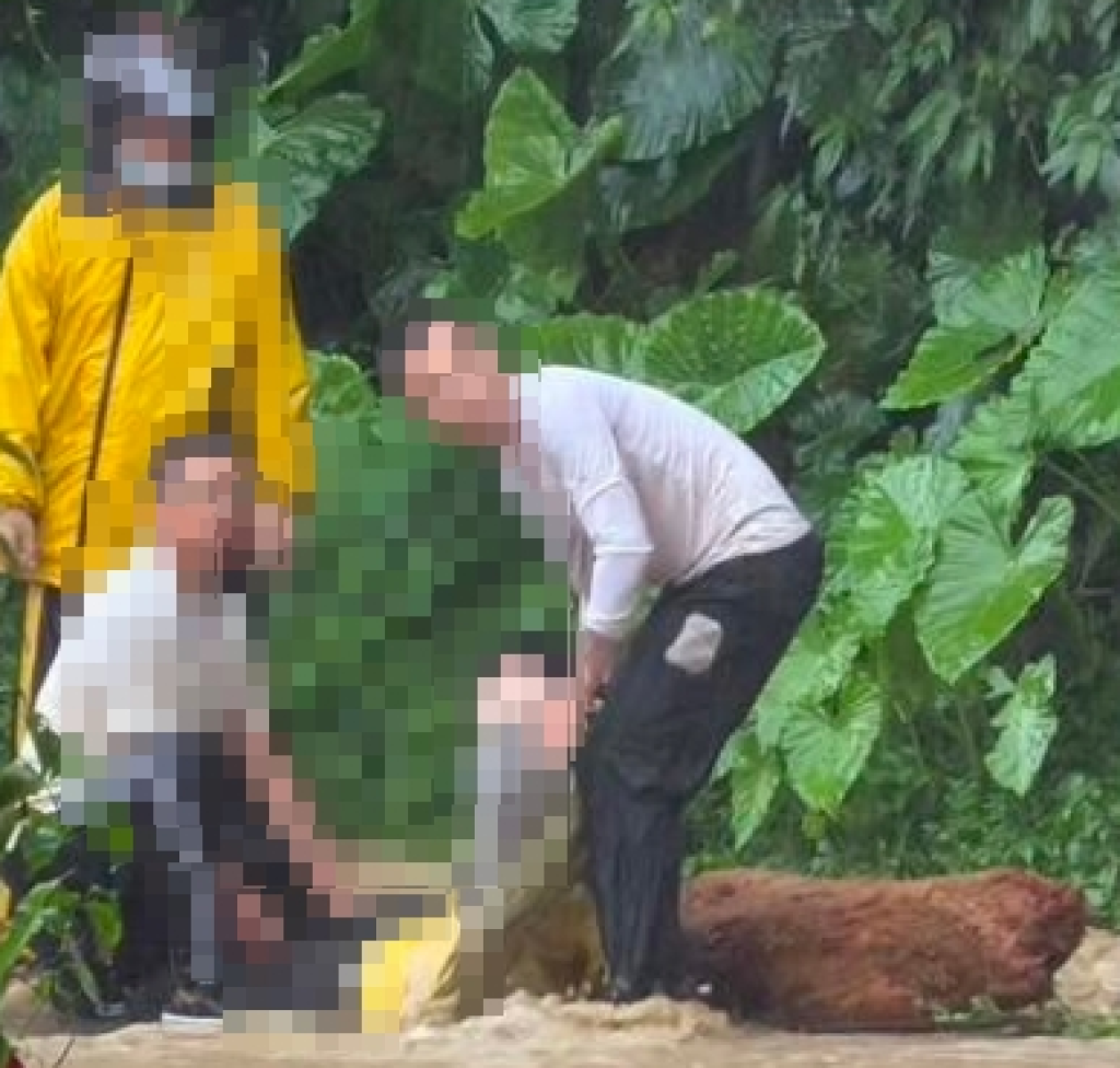 竹東暴雨奪命！21歲女大生山區露營近返　騎機車涉水滑落水溝傷重不治