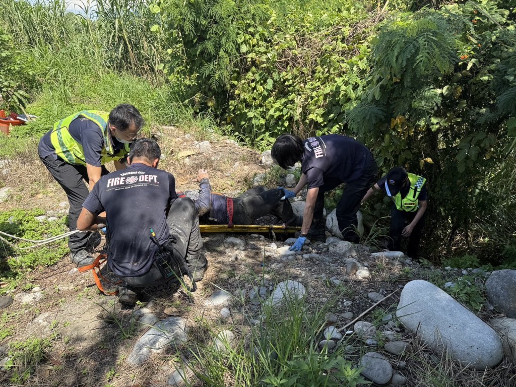 大甲溪釣魚滑倒受困溪床！　警消聯手救援脫困