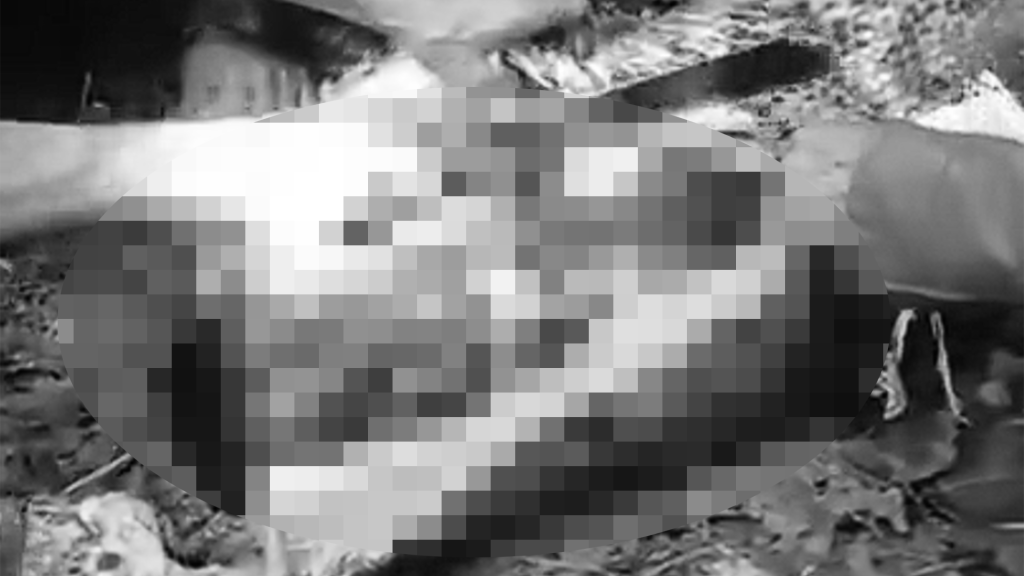 印尼7公尺蟒蛇「活吞」男子！腹部剖開驚見全屍　村民嚇壞