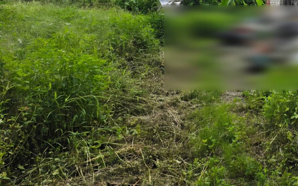 高齡義務人無照拒測拒繳  家屬為保土地一次繳清欠款23萬餘元