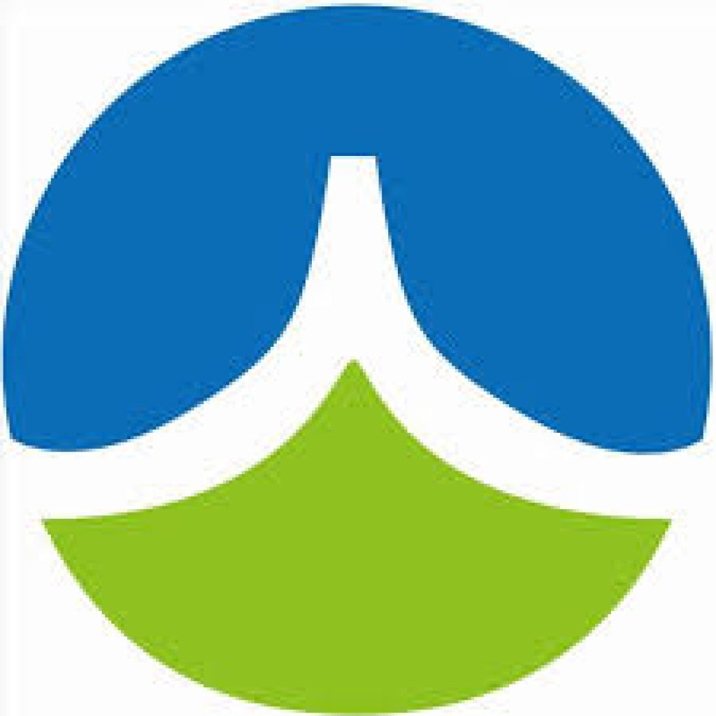 台南市補助紀錄查詢