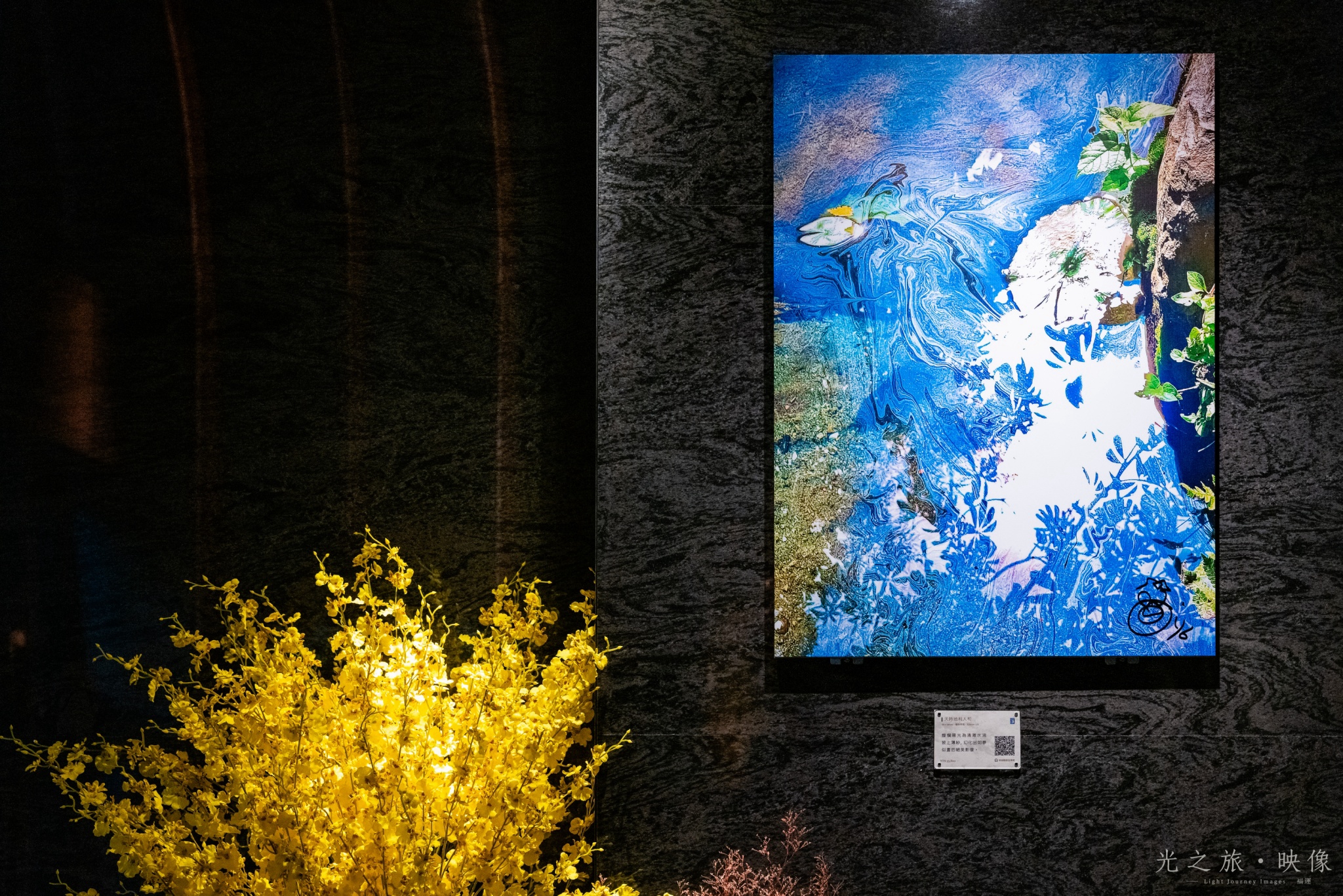 展場空間與作品陳設
