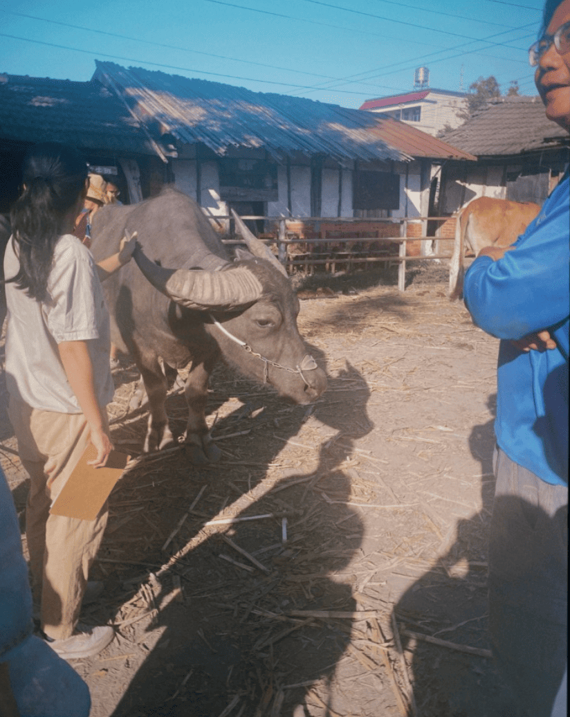 溪州的傳統三合院與農田地景,保留了最質樸的農村記憶,是食農教育最好的教室。(攝影/記者施睿皇)