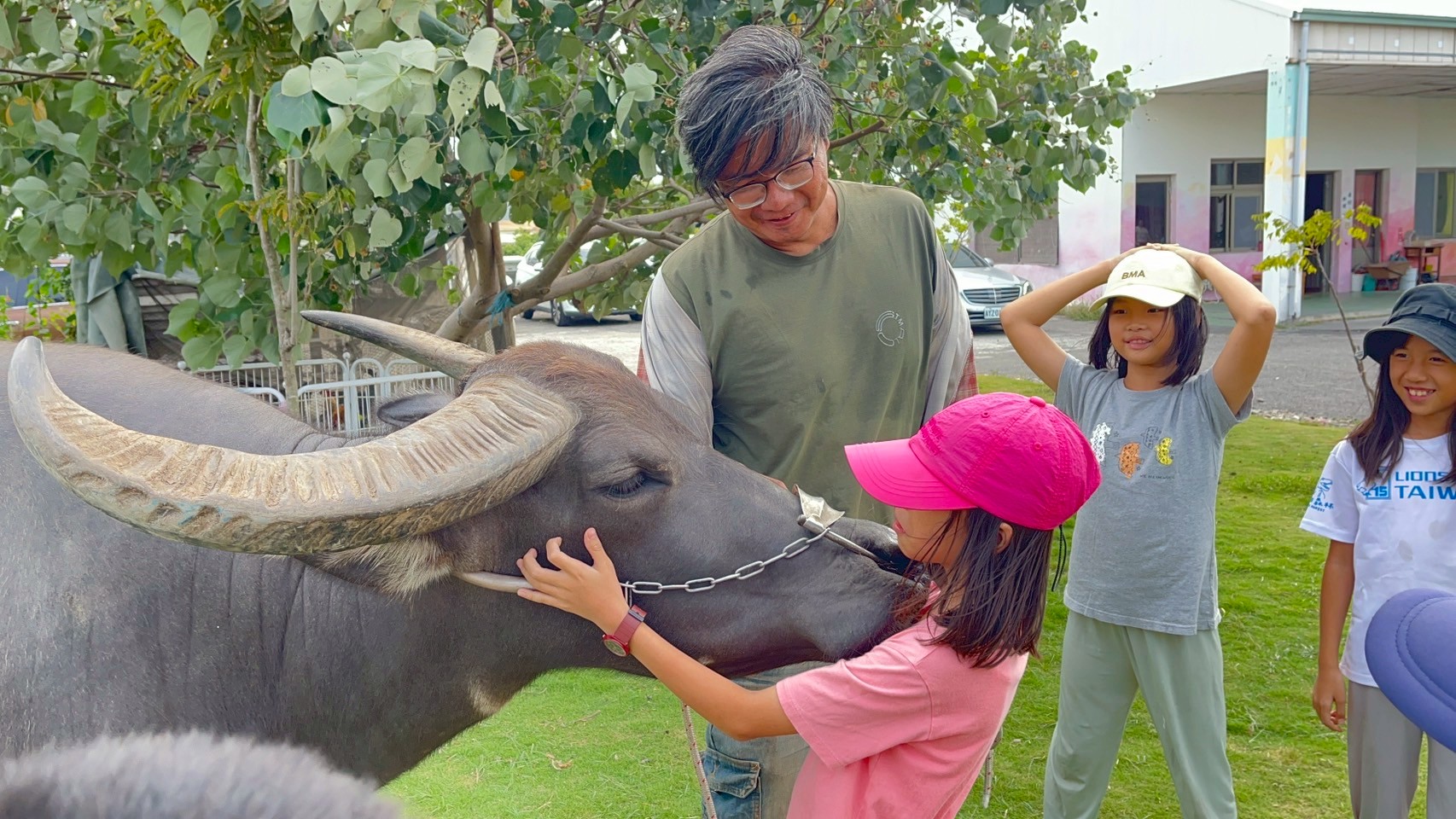 〈清理牛棚、照顧耕牛〉