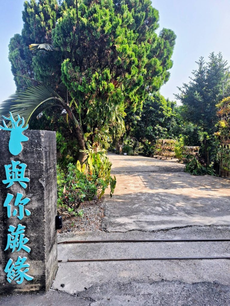 帶孩子走進雨林秘境！「與你蕨緣」鹿角蕨樂園成彰化親子新亮點