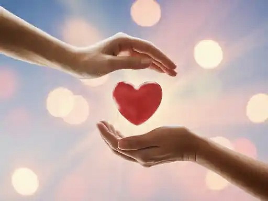 十年有愛，心手相連｜希望家園號召企業與愛心人士共築幸福家園