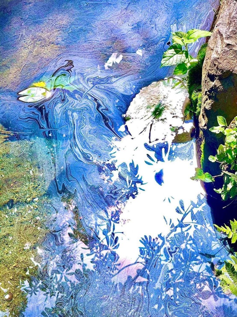 七十載光影人生，色盲攝影師謝炳昌用獨特視角看見生命本質