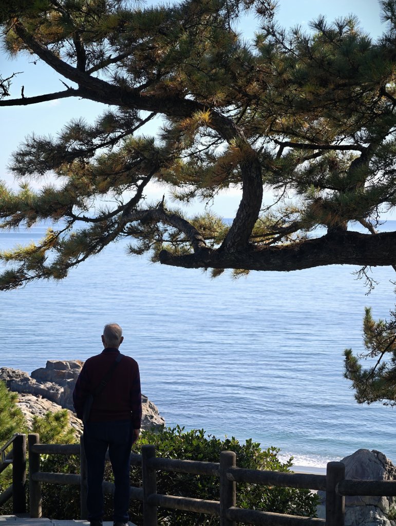 【深度旅遊專題】當旅行不再趕路：一趟走進日本四國、讓人重新慢下來的深度旅程
