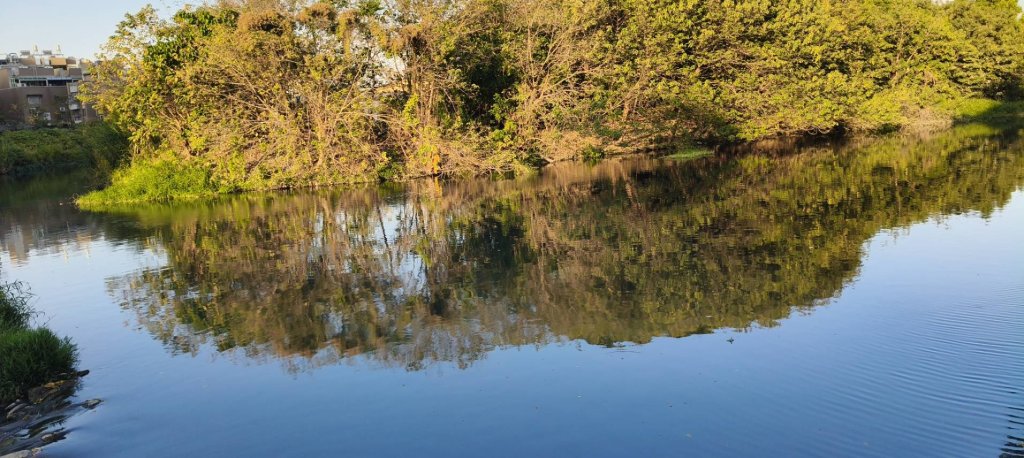 有動，才有機會？人際關係是流動的河，還是靜止的水池？