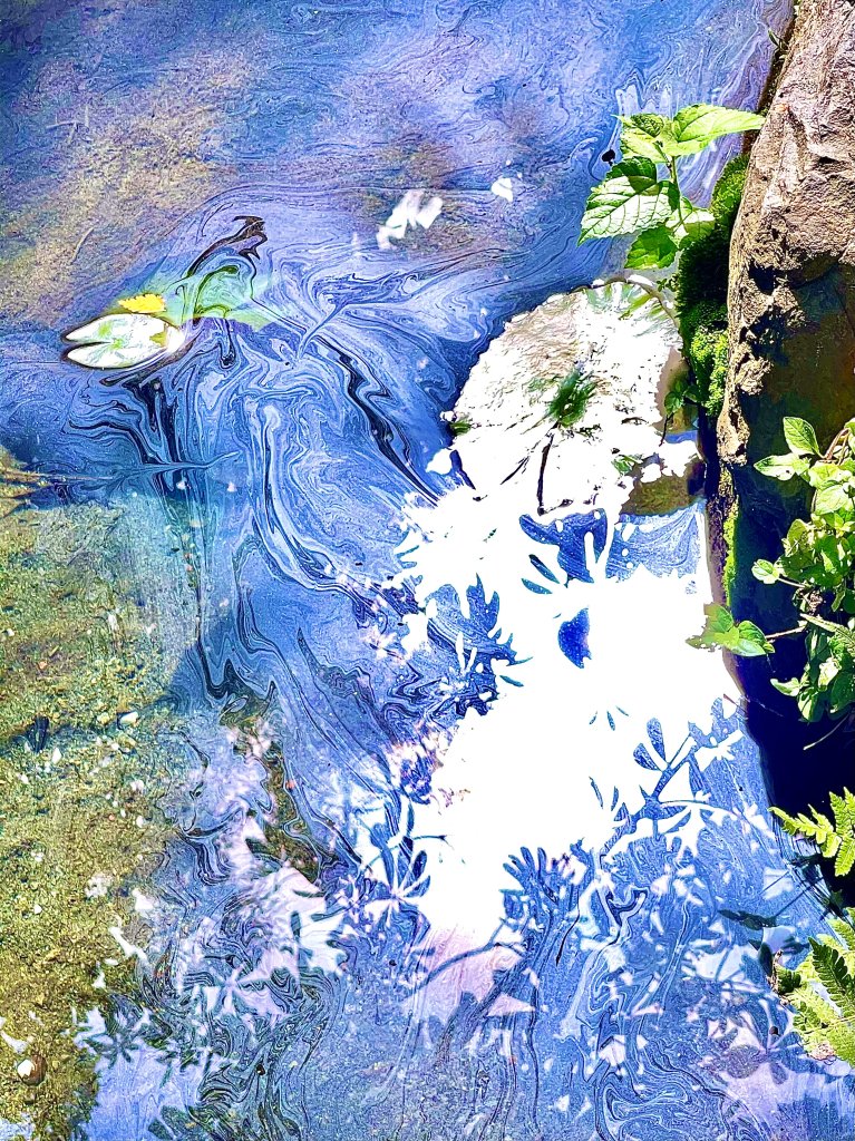 【人物專欄】謝炳昌導演－瞬息萬變：天時、地利與人和的交會