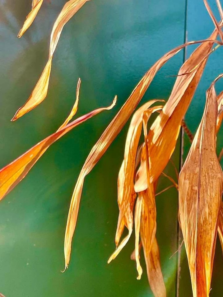 【人物專欄】謝炳昌導演－牛皮紙袋裡的無聲嘆息