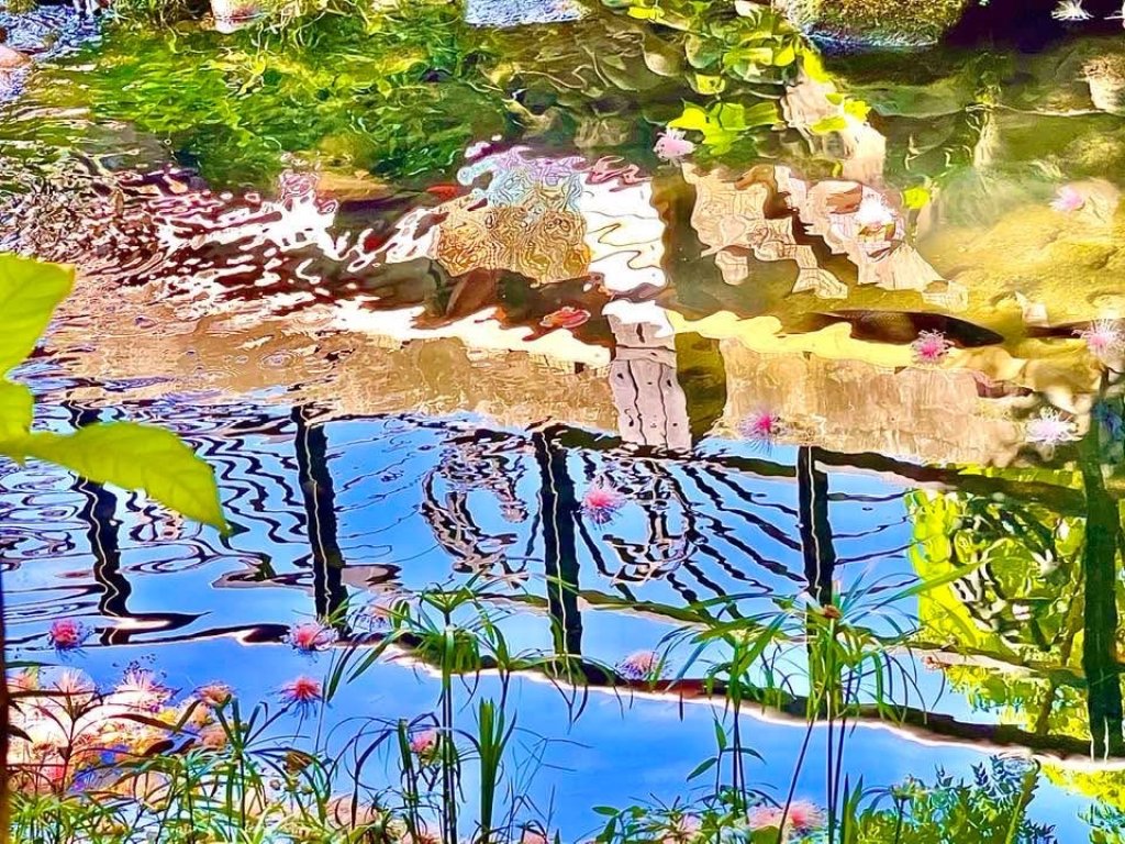 【專欄】謝炳昌導演－疫情下的生存賽局