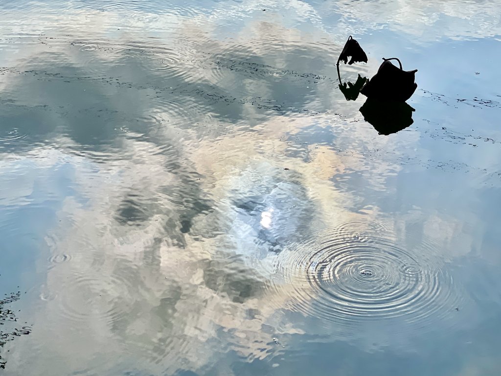 【專欄】謝炳昌導演－深夜後座的鏡像