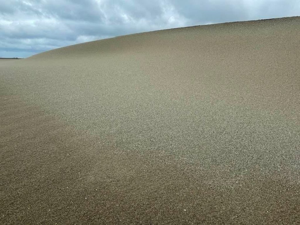 【專欄】謝炳昌導演－那場與貪婪擦肩的心理戰