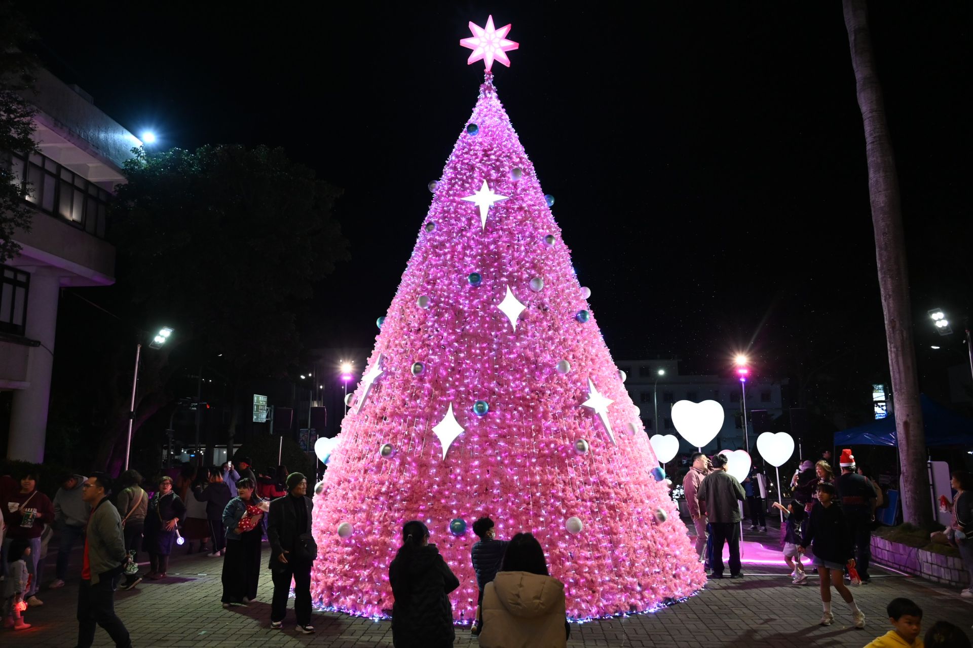 療癒粉紅光耀臺東