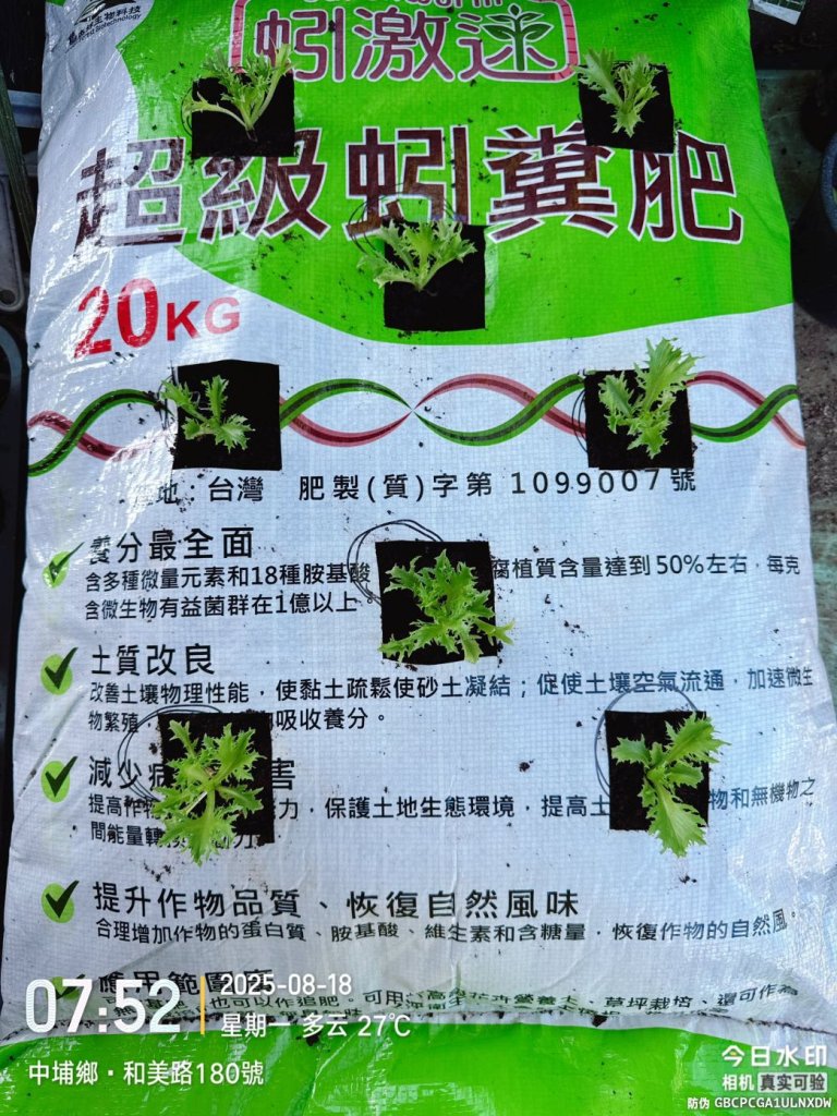 【梨界巨星登場】比頭還大的甘露梨！卓蘭東陞開心農場用綠森林蚯蚓酵素種出中秋最強好梨