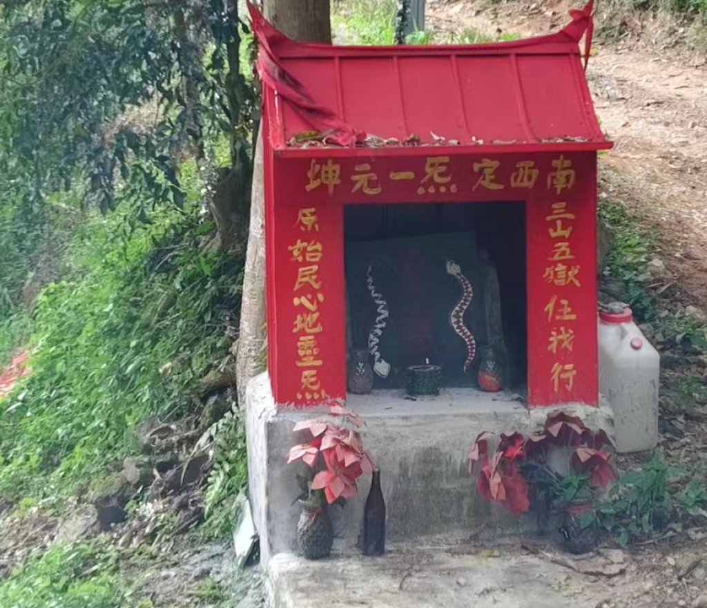 石頭公  十八王公  還有百步蛇也有人拜