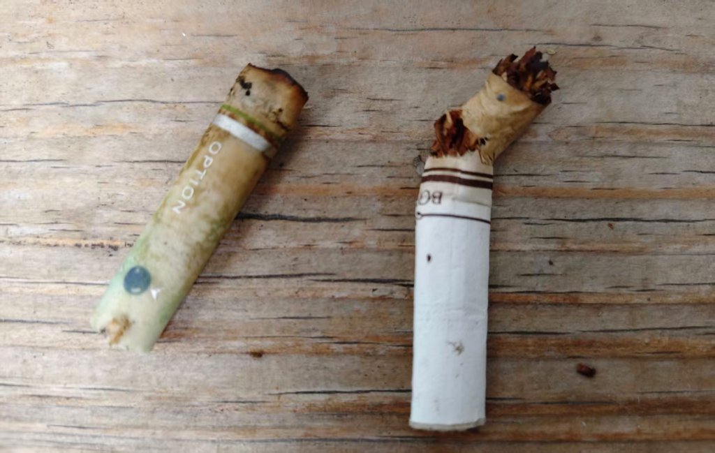 從影星肺癌死亡  談醫院公費篩檢  早期發現早期治療