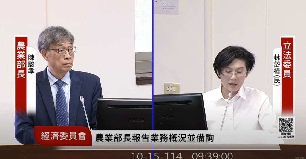 豬價飆漲全球第二高 林岱樺示警：國產豬恐被進口豬淘汰