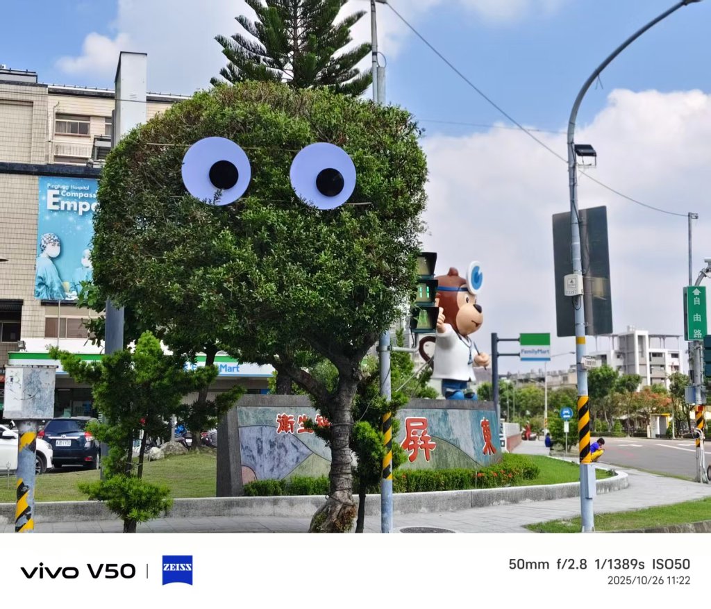 署立屏東醫院  榕樹裝大眼睛  會是盯著行人 提醒快步通行？